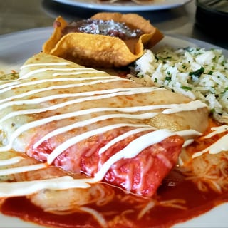 Lunch Veggie Enchiladas